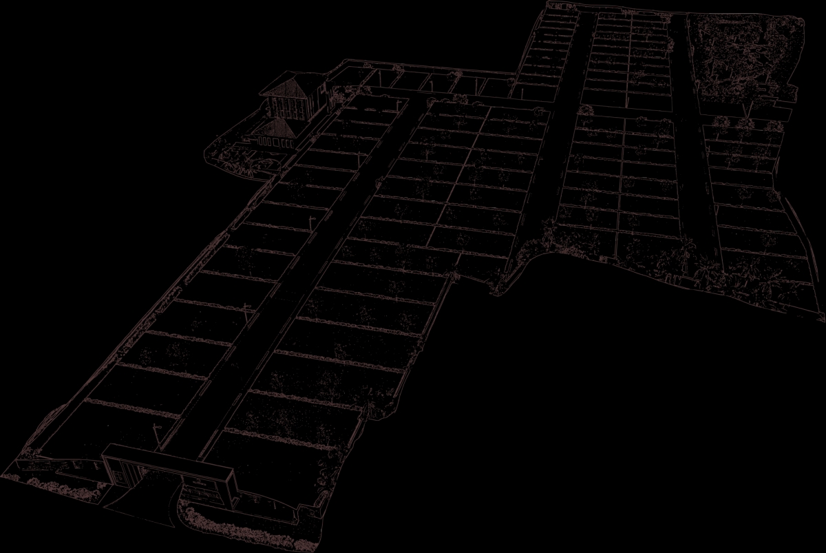 Rooted in our vision for bold growth and dedication to evolving our portfolio.